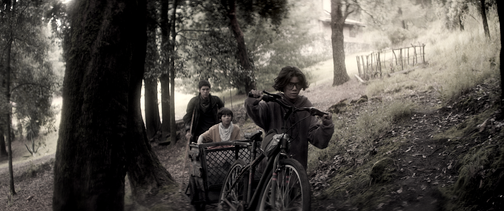 unnamed 2026 01 30t131833.113