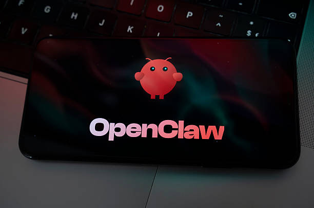 unnamed 2026 02 08t195523.677