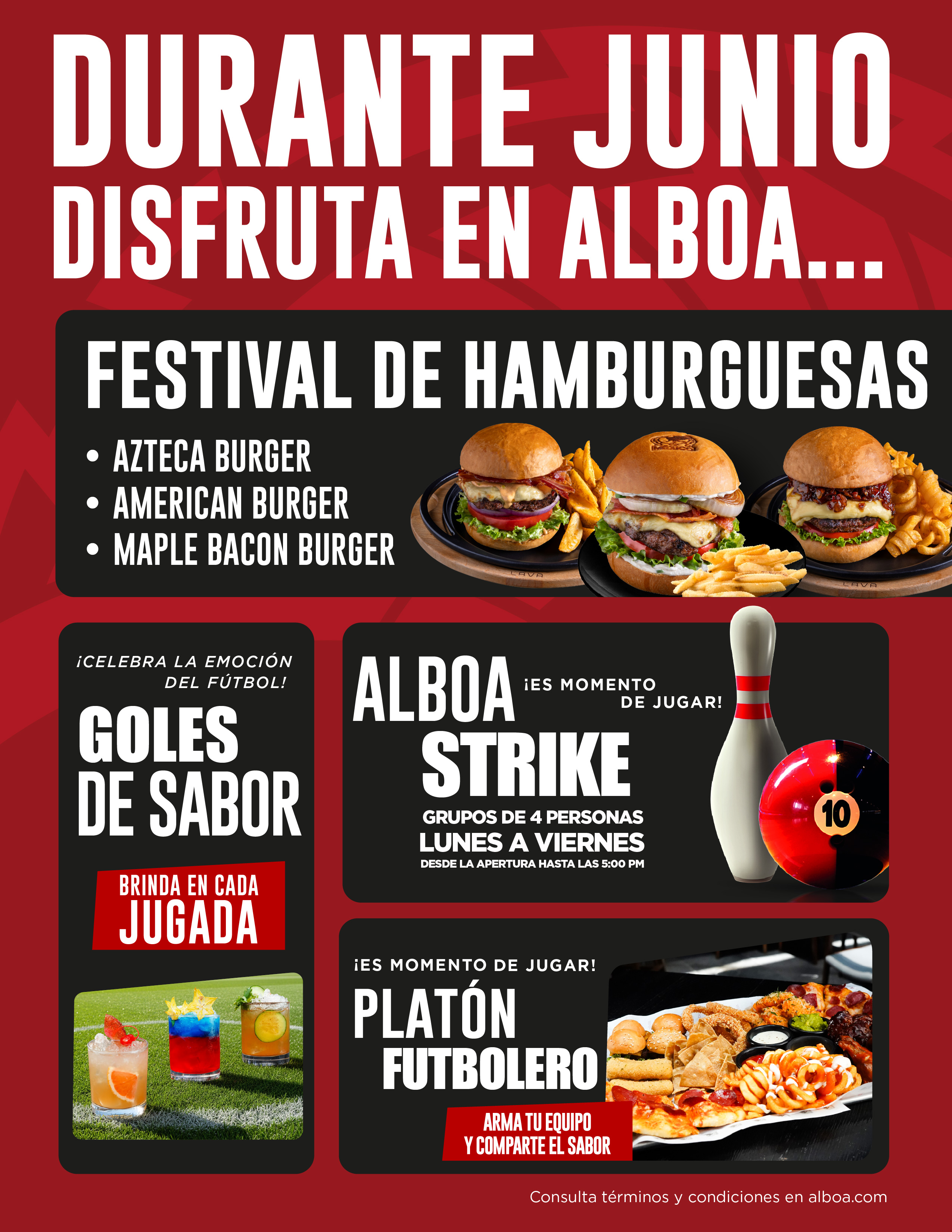 newsletter alboa junio