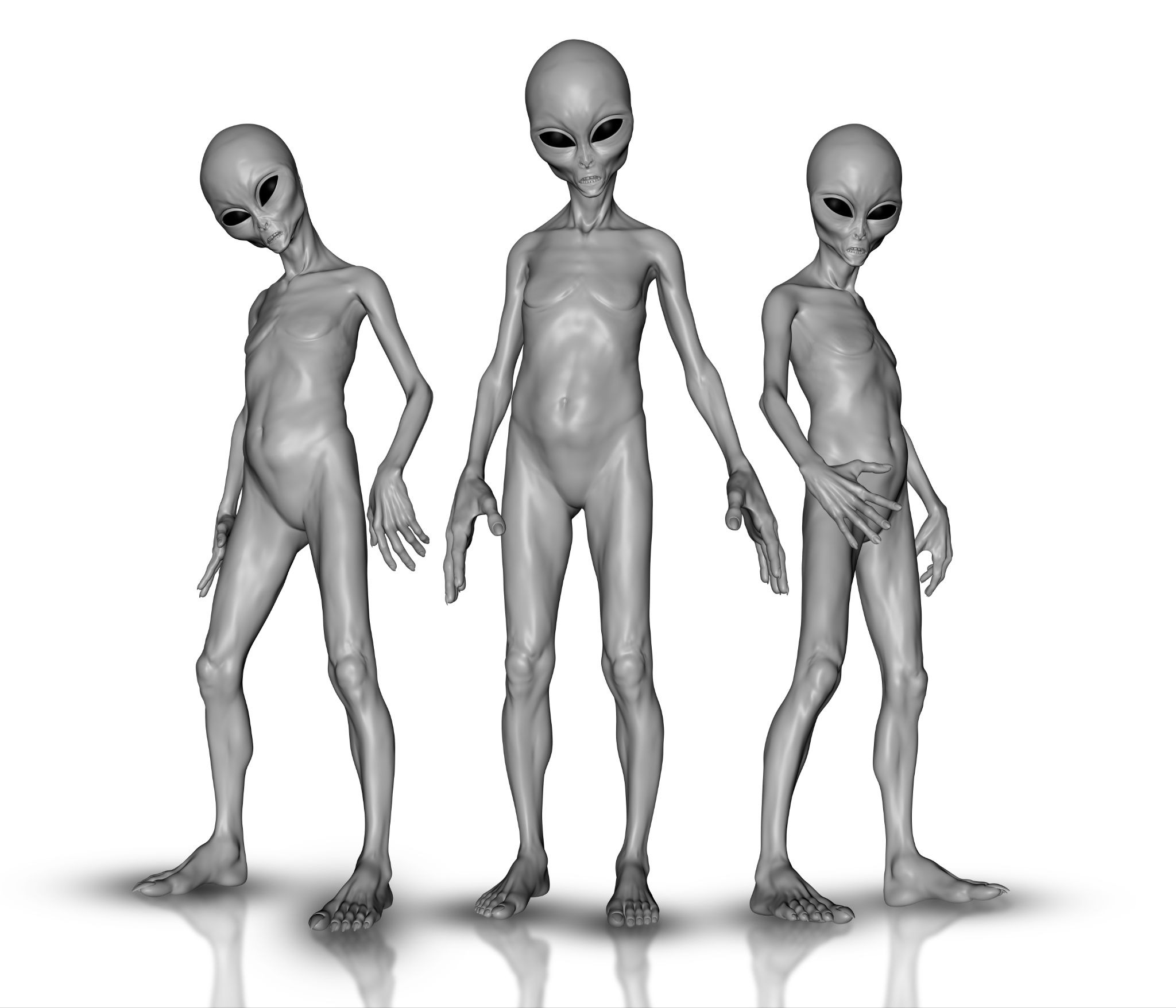 image (14)